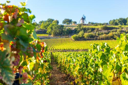 15 September 2019. View of Sorine Mill in Burgundy, France.